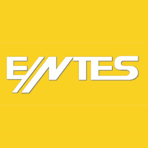 ENTES Elektronik